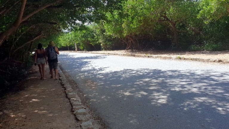 7 dias en Riviera Maya 2018 - Blogs of Mexico - Tulum y Gran Cenote (5)