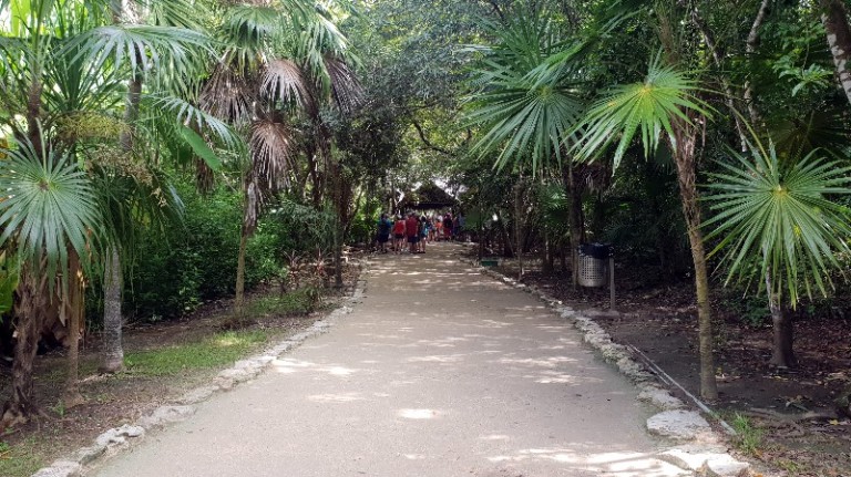 7 dias en Riviera Maya 2018 - Blogs de Mexico - Tulum y Gran Cenote (6)