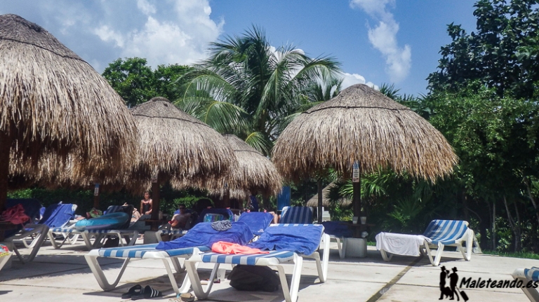 Día en el Hotel Sirenis y Regreso - 7 dias en Riviera Maya 2018 (12)